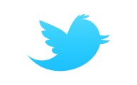 twitter-bird